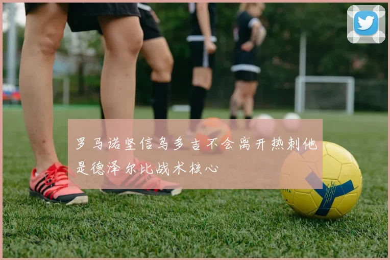 罗马诺坚信乌多吉不会离开热刺他是德泽尔比战术核心